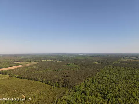 Old 46 Highway, Caledonia, MS 38851