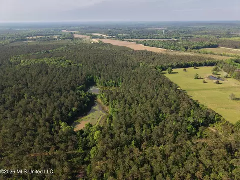 Old 46 Highway, Caledonia, MS 38851 photo 9
