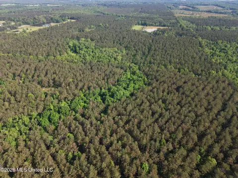 Old 46 Highway, Caledonia, MS 38851 photo 6