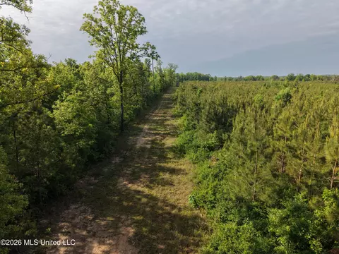 Old 46 Highway, Caledonia, MS 38851 photo 11