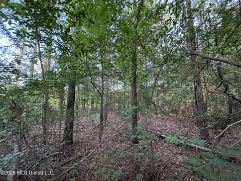 N Lot 1 River Road, Summit, MS 39666 photo 7