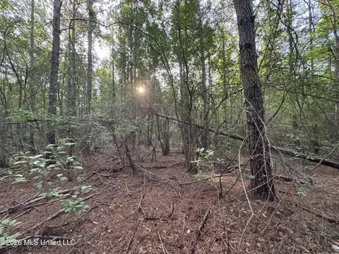 N Lot 1 River Road, Summit, MS 39666 photo 5
