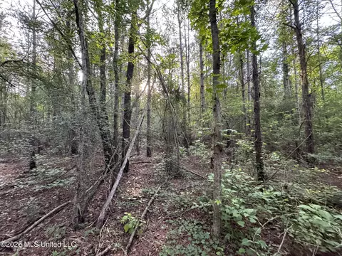 N Lot 1 River Road, Summit, MS 39666 photo 8