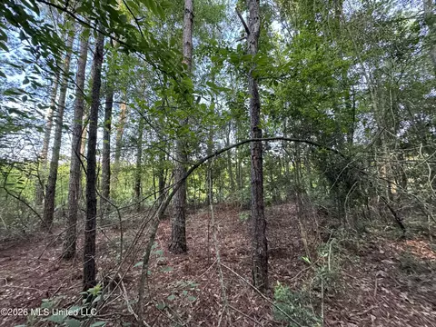 N Lot 1 River Road, Summit, MS 39666 photo 4