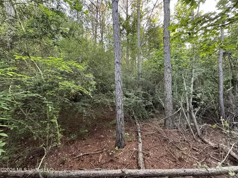 N Lot 1 River Road, Summit, MS 39666 photo 2