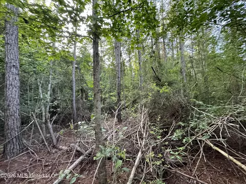 N Lot 1 River Road, Summit, MS 39666 photo 3