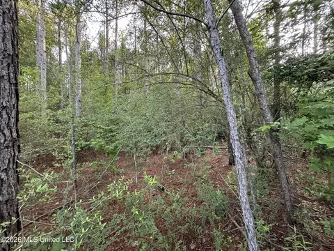 N Lot 1 River Road, Summit, MS 39666