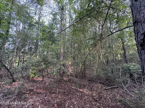 N Lot 1 River Road, Summit, MS 39666 photo 6