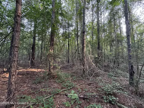 N Lot 2 River Road, Summit, MS 39666 photo 8