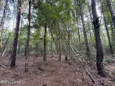 N Lot 2 River Road, Summit, MS 39666 photo 7