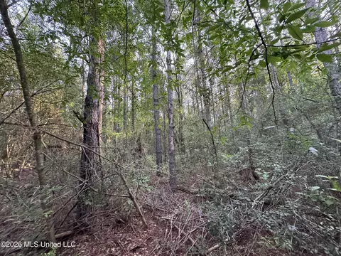 N Lot 2 River Road, Summit, MS 39666 photo 2