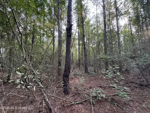 N Lot 2 River Road, Summit, MS 39666 photo 5