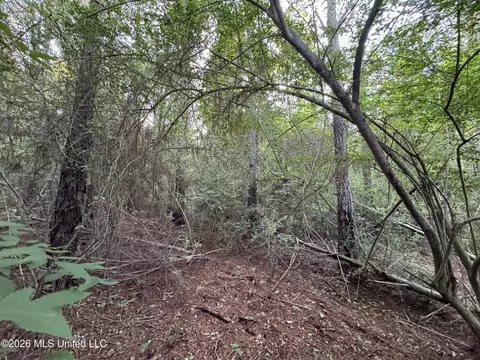 N Lot 2 River Road, Summit, MS 39666 photo 4