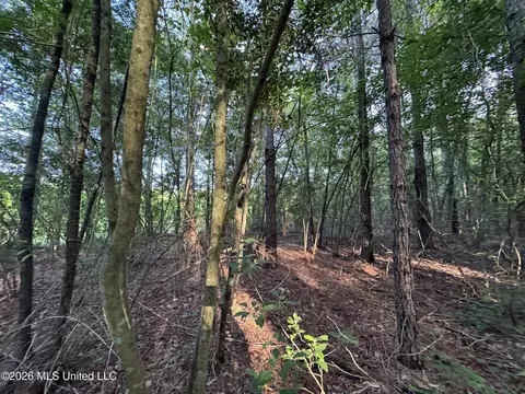N Lot 2 River Road, Summit, MS 39666 photo 6