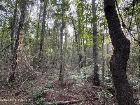 N Lot 2 River Road, Summit, MS 39666 photo 3