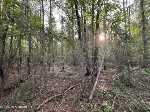 N Lot 2 River Road, Summit, MS 39666
