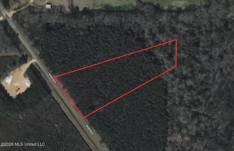 N Lot 2 River Road, Summit, MS 39666 photo 9