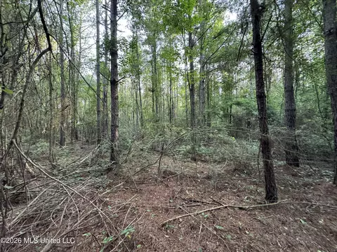 N Lot 3 River Road, Summit, MS 39666 photo 2