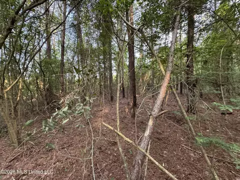 N Lot 3 River Road, Summit, MS 39666 photo 9