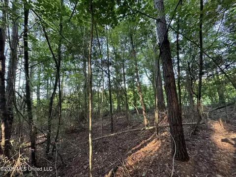 N Lot 3 River Road, Summit, MS 39666 photo 3