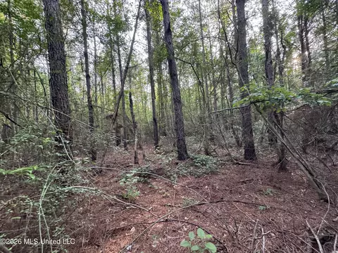 N Lot 3 River Road, Summit, MS 39666 photo 8