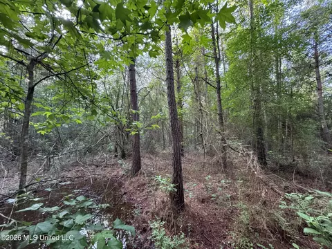 N Lot 3 River Road, Summit, MS 39666 photo 4