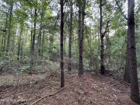 N Lot 3 River Road, Summit, MS 39666 photo 6