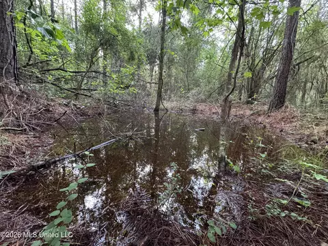 N Lot 3 River Road, Summit, MS 39666 photo 7
