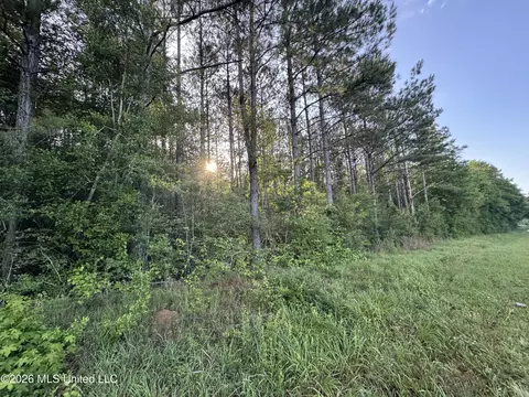 N Lot 3 River Road, Summit, MS 39666