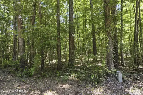 Downs Avenue, Mendenhall, MS 39114 photo 6