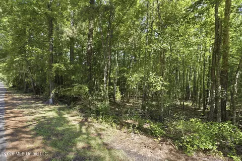 Downs Avenue, Mendenhall, MS 39114 photo 5