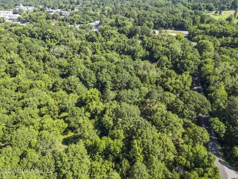 Downs Avenue, Mendenhall, MS 39114 photo 2