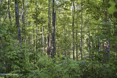 Downs Avenue, Mendenhall, MS 39114 photo 7