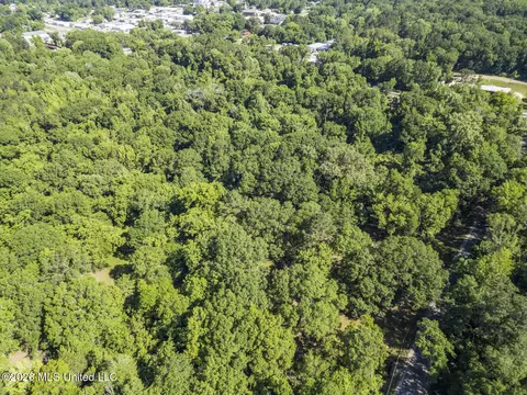 Downs Avenue, Mendenhall, MS 39114 photo 3
