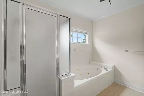 Bath - 704 Shadow View Dr, Hernando, MS 38632 photo 2 of 3