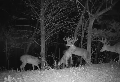 000002 Hwy 22, Flora, MS 39071 photo 13