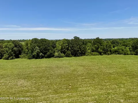 000002 Hwy 22, Flora, MS 39071 photo 12