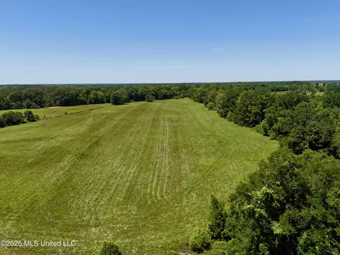 000002 Hwy 22, Flora, MS 39071 photo 4