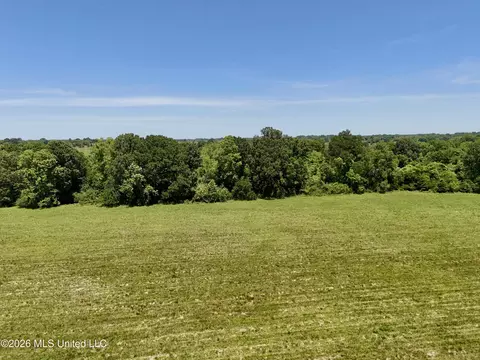 000002 Hwy 22, Flora, MS 39071 photo 40