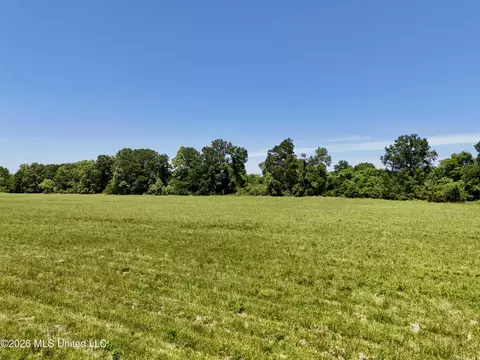 000002 Hwy 22, Flora, MS 39071 photo 48