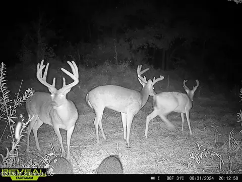 000002 Hwy 22, Flora, MS 39071 photo 2