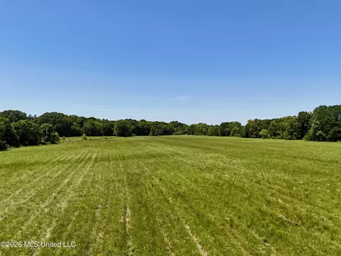 000002 Hwy 22, Flora, MS 39071 photo 14