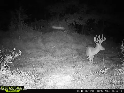 000002 Hwy 22, Flora, MS 39071 photo 17