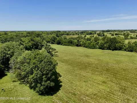 000002 Hwy 22, Flora, MS 39071 photo 20