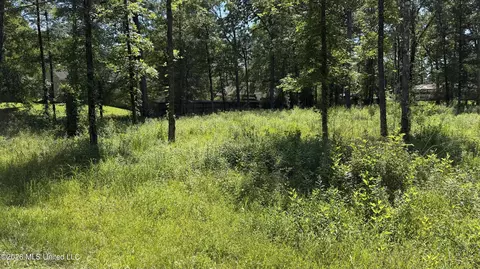 204 Dogwood Dr, Forest, MS 39074 photo 2