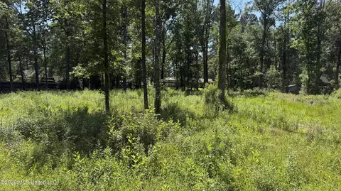 204 Dogwood Dr, Forest, MS 39074 photo 3