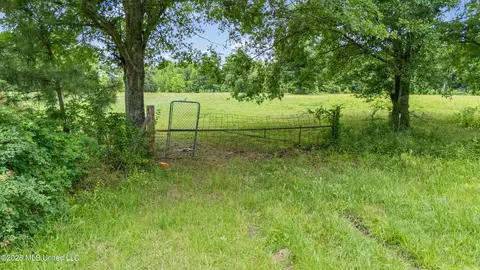 0 Belmont Rd, Sardis, MS 38666 photo 11
