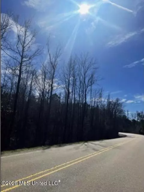 0 Star Rd, Florence, MS 39073 photo 3