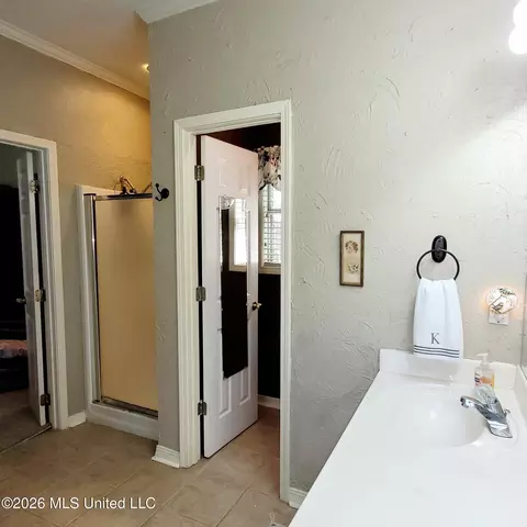 Bath - 500 Parkview Cv, Brandon, MS 39047 photo 1 of 5