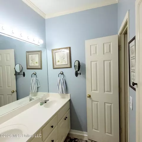 Bath - 500 Parkview Cv, Brandon, MS 39047 photo 5 of 5
